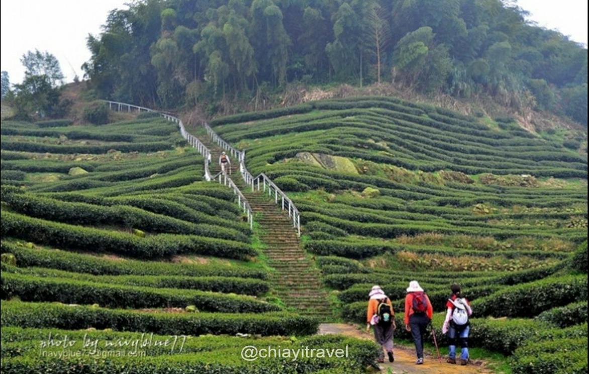 挑筍古道(大尖山、後棟仔山步道)