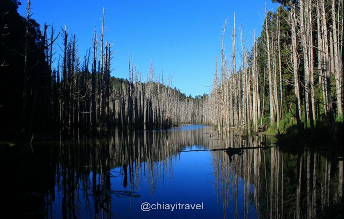 水漾森林、鹿屈山