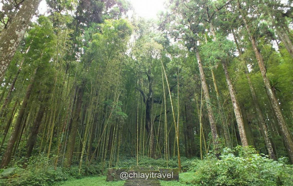 奮起湖步道、奮起湖神社