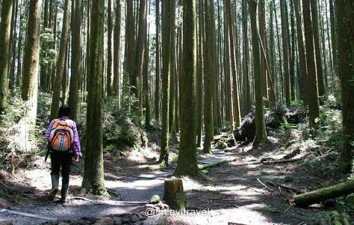 二萬坪、屏遮那山連走