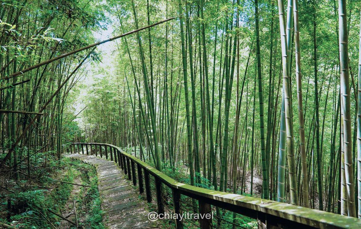 孝子路步道、大巃頂